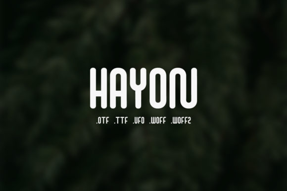 Hayon: Where Modern Typography Meets Creative Expression