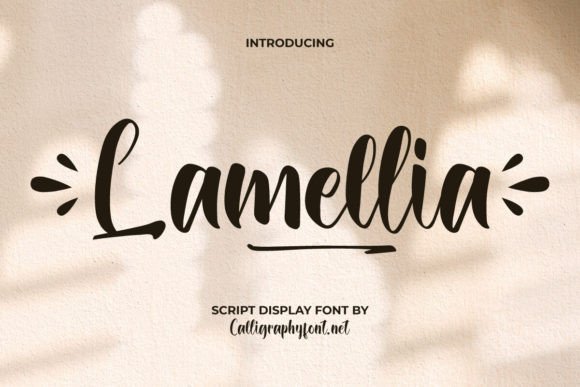 Lamellia: A Script Font That Balances Playful Style with Professional Use